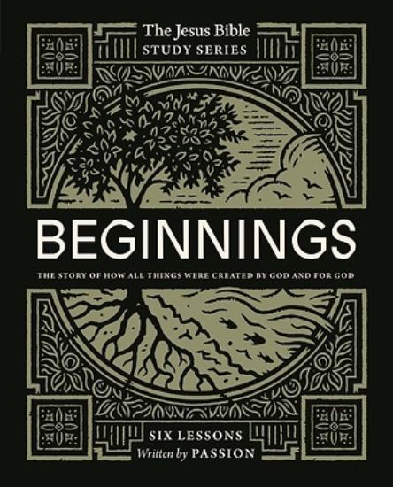 Picture of Beginnings Study Guide