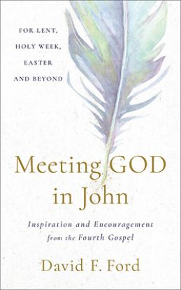 Picture of Meeting God in John