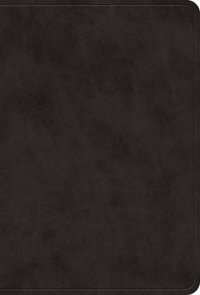 Picture of ESV Value Large Print Compact Bible (Trutone, Black)