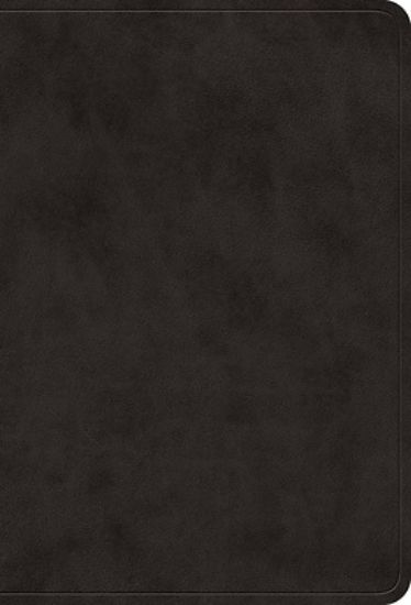 Picture of ESV Value Large Print Compact Bible (Trutone, Black)