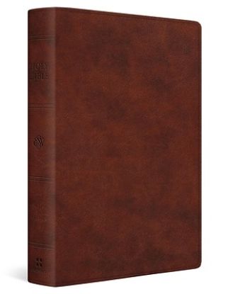 Picture of ESV Giant Print Personal Size Bible, Red Letter (Trutone, Chestnut)