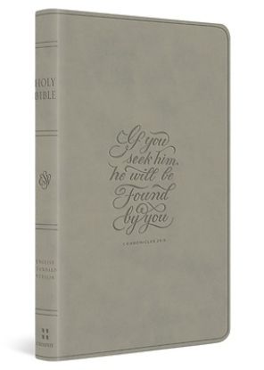 Picture of ESV Large Print Value Thinline Bible (Trutone, Stone, 1 Chronicles 28