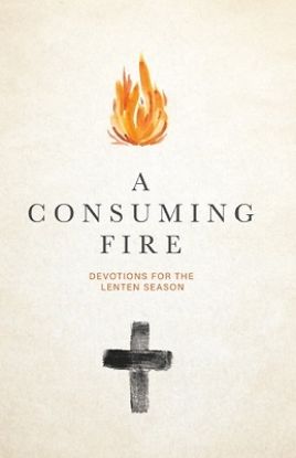 Picture of A Consuming Fire