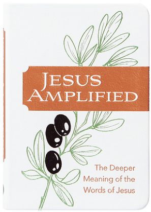 Picture of Jesus Amplified