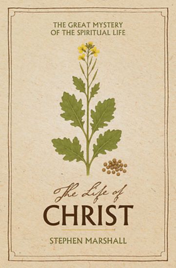 Picture of The Life of Christ