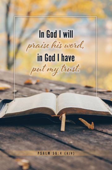 Picture of I Will Praise His Word Bulletin