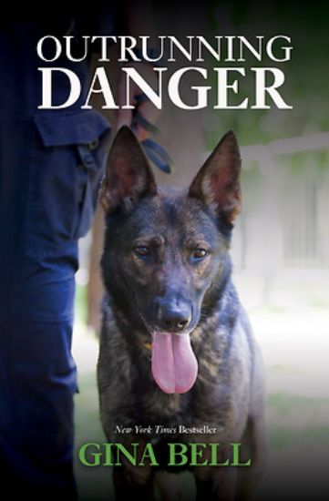 Picture of Outrunning Danger