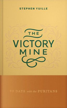 Picture of The Victory Mine