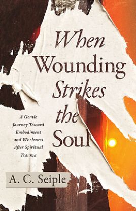 Picture of When Wounding Strikes the Soul