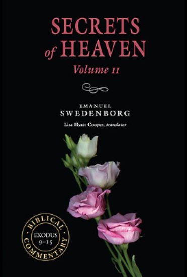 Picture of Secrets of Heaven Volume 11