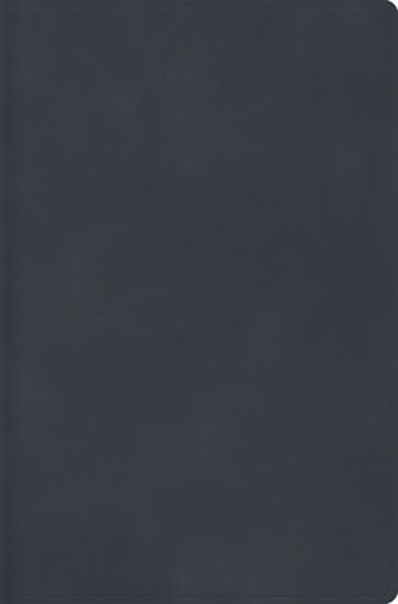 Picture of Rvr 1960 Biblia Descubre Tu Fe, Gris Azulado, Símil Piel Con Índice