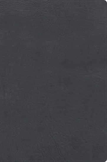 Picture of Rvr 1960 Biblia de Estudio de Letra Gigante, Negro, Símil Piel