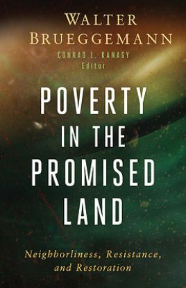 Picture of Poverty in the Promised Land - eBook [ePub]