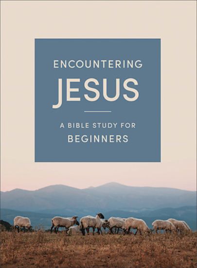 Picture of Encountering Jesus