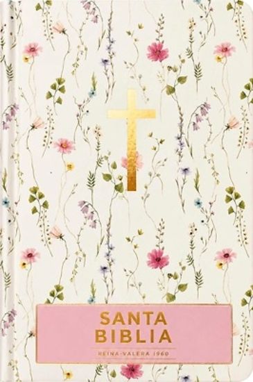 Picture of Santa Biblia Reina-Valera 1960 - Visual Con Mapas Mentales (Tapa Dura, Floral, Letra Roja)