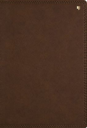 Picture of Net Study Bible (Net, Brown Leathersoft, Comfort Print)