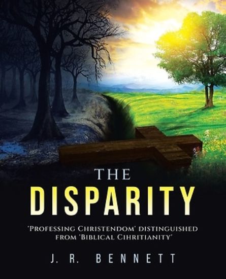 Picture of The Disparity