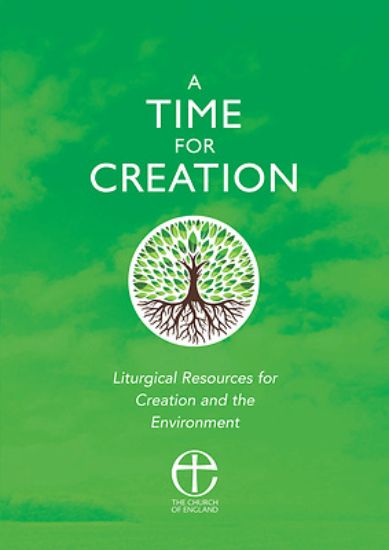 Picture of A Time for Creation