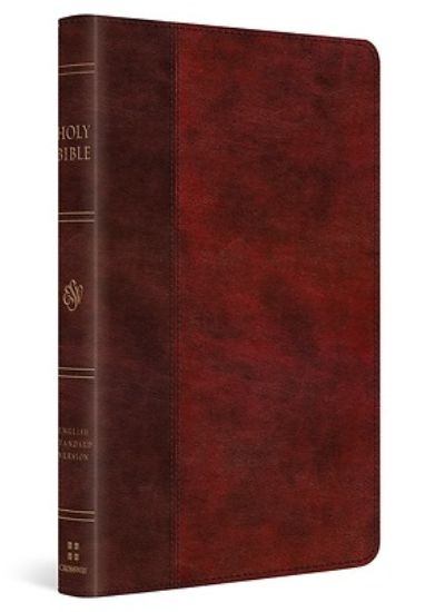 Picture of ESV Large Print Thinline Bible, Red Letter (Trutone, Burgundy/Red, Timeless Design)