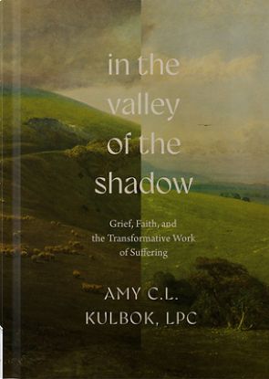 Picture of In the Valley of the Shadow