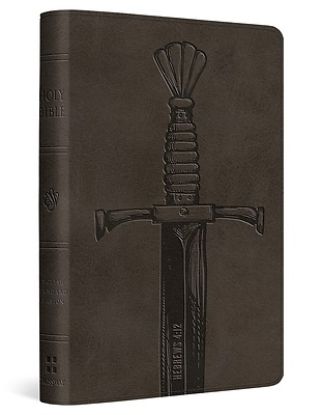 Picture of ESV Compact Bible (Trutone, Silver, Sword Design)