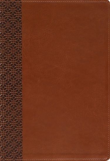 Picture of Amplified Holy Bible, Large Print, Leathersoft, Brown