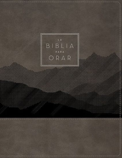 Picture of Rvr60, La Biblia Para Orar, Leathersoft, Gris, Palabras de Jesús En Rojo, Comfort Print