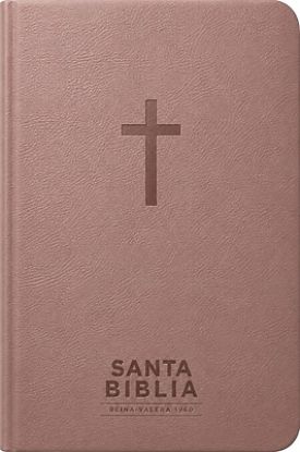 Picture of Santa Biblia Reina-Valera 1960 - Visual Con Mapas Mentales (Sentipiel, Rosa, Letra Roja)