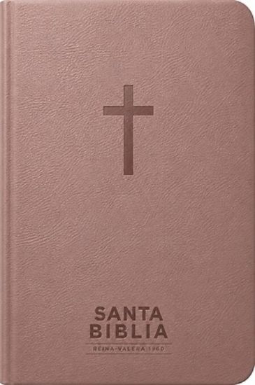 Picture of Santa Biblia Reina-Valera 1960 - Visual Con Mapas Mentales (Sentipiel, Rosa, Letra Roja)