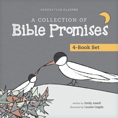 Picture of A Collection of Bible Promises 4-Book Set