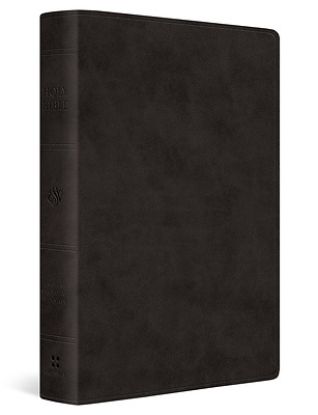 Picture of ESV Giant Print Value Thinline Bible (Trutone, Black)