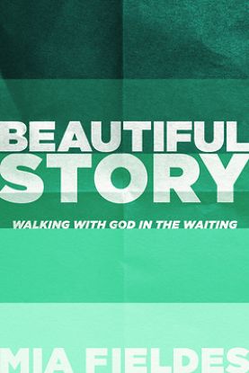 Picture of Beautiful Story