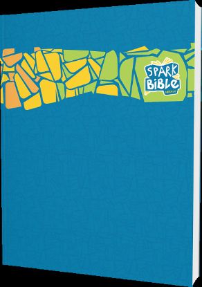Picture of Spark Bible NRSVue Paperback