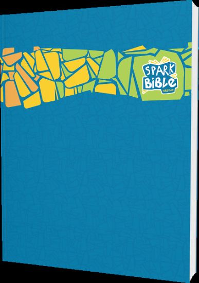 Picture of Spark Bible NRSVue Paperback