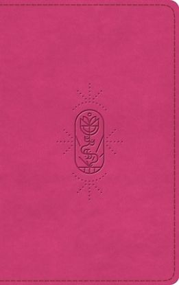 Picture of ESV Kid's Bible, Thinline, Red Letter (Trutone, Berry, the True Vine Design)