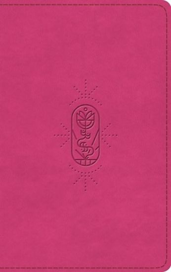 Picture of ESV Kid's Bible, Thinline, Red Letter (Trutone, Berry, the True Vine Design)