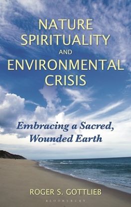 Picture of Nature Spirituality and Environmental Crisis