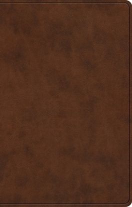 Picture of ESV Premium Gift Bible (Trutone, Brown)