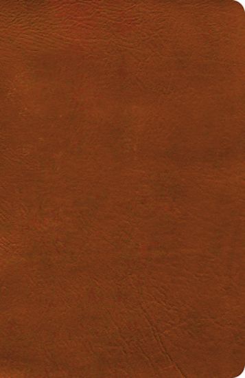 Picture of NASB Verse-By-Verse Reference Bible, Burnt Sienna Leathertouch