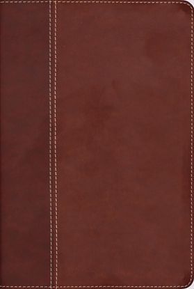 Picture of Niv, Cultural Backgrounds Study Bible (Context Changes Everything), Leathersoft, Brown, Red Letter