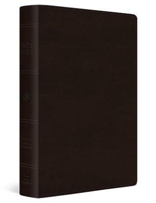 Picture of ESV Giant Print Thinline Bible (Trutone, Deep Brown)