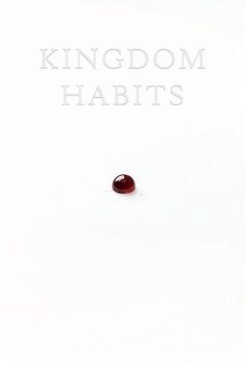 Picture of Kingdom Habits
