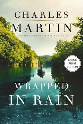 Picture of Wrapped in Rain