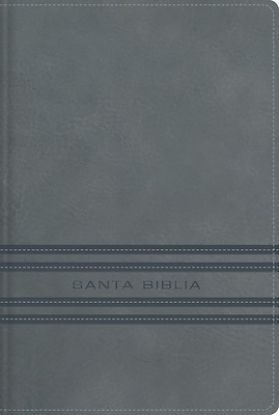 Picture of Nbla Santa Biblia Edicion Versificada Tamano Bolsillo Leathersoft Gris Palabras de Jesus En Rojo Comfort Print