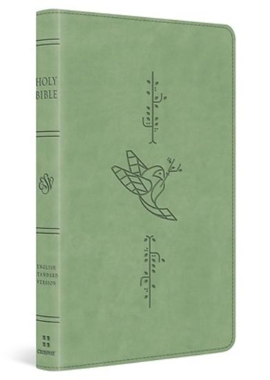 Picture of ESV Kid's Bible, Thinline, Red Letter (Trutone, Bird of the Air Design)