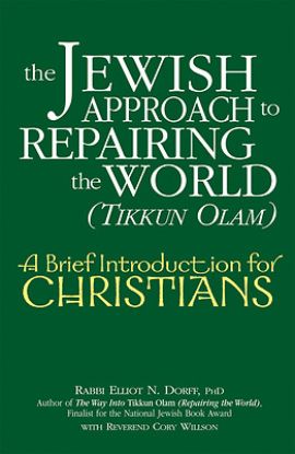 Picture of The Jewish Approach to Repairing the World