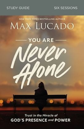 Picture of You Are Never Alone