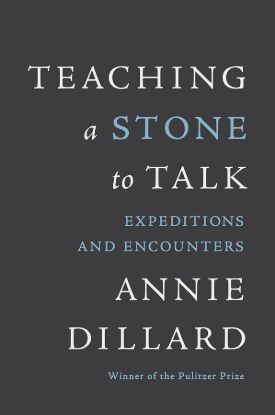 Picture of Teaching a Stone to Talk - eBook [ePub]