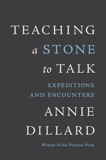 Picture of Teaching a Stone to Talk - eBook [ePub]
