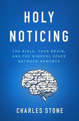 Picture of Holy Noticing